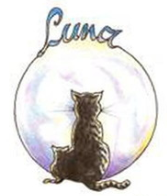 Vereinslogo: Katze vor dem Mond